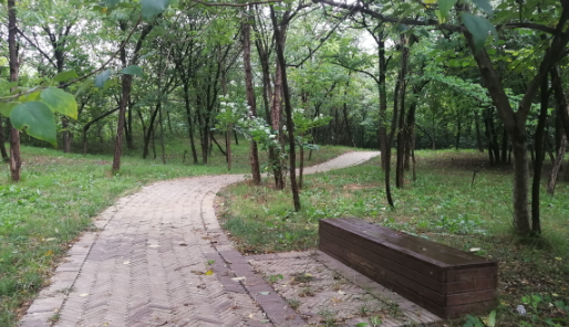 贺：郑州观鸟林森林公园正式开园迎客